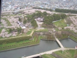 画像: 北海道の桜！！