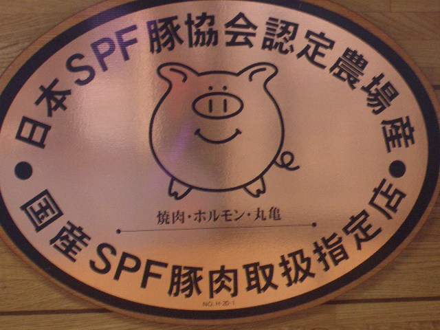 画像: 柔らかおいしい！！SPF豚タン